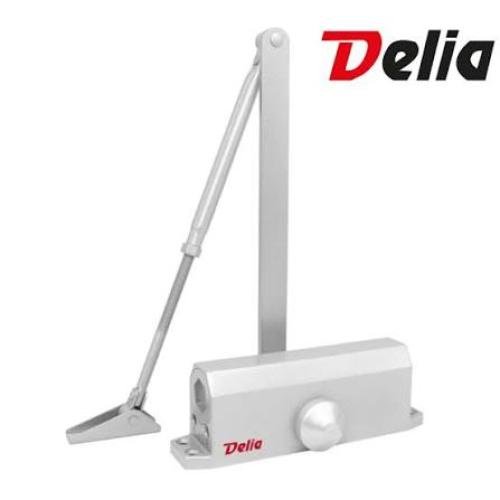 Piston de porte 1504 SN (85kg) DELIA